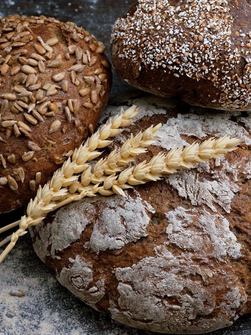 brood